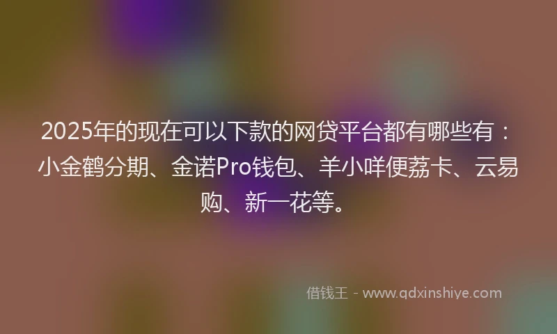 2025年的现在可以下款的网贷平台都有哪些有：小金鹤分期、金诺Pro钱包、羊小咩便荔卡、云易购、新一花等。
