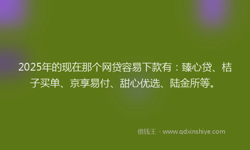 2025年的现在那个网贷容易下款有：臻心贷、桔子买单、京享易付、甜心优选、陆金所等。