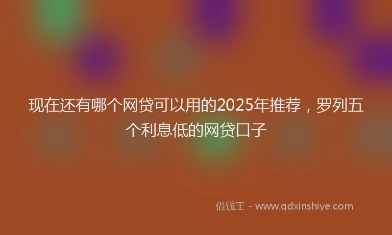 现在还有哪个网贷可以用的2025年推荐，罗列五个利息低的网贷口子