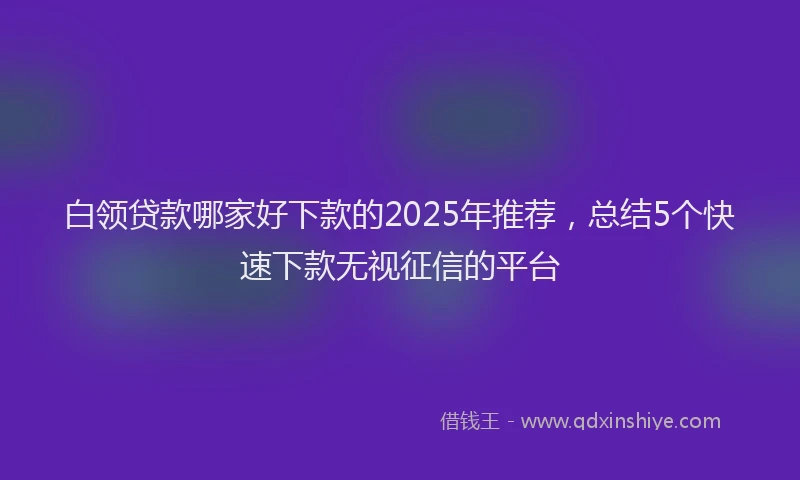 白领贷款哪家好下款的2025年推荐，总结5个快速下款无视征信的平台