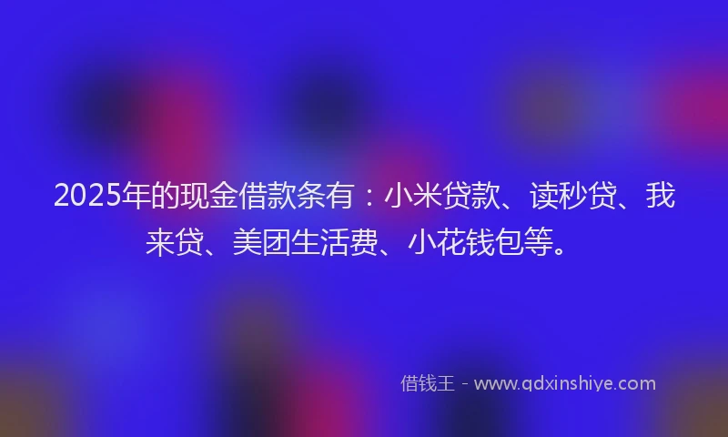 2025年的现金借款条有：小米贷款、读秒贷、我来贷、美团生活费、小花钱包等。