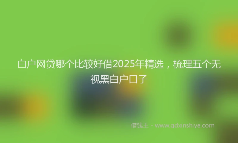 白户网贷哪个比较好借2025年精选，梳理五个无视黑白户口子