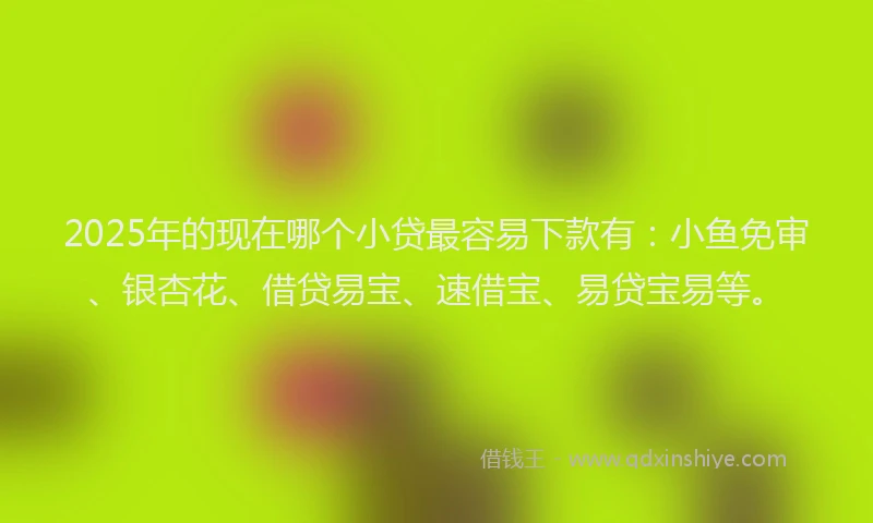 2025年的现在哪个小贷最容易下款有：小鱼免审、银杏花、借贷易宝、速借宝、易贷宝易等。