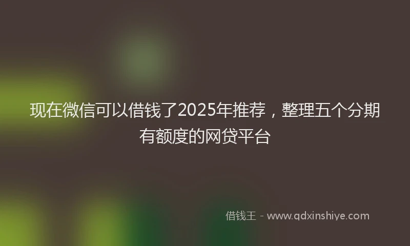 现在微信可以借钱了2025年推荐，整理五个分期有额度的网贷平台