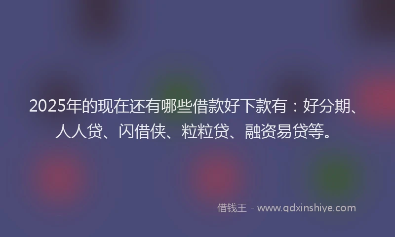 2025年的现在还有哪些借款好下款有：好分期、人人贷、闪借侠、粒粒贷、融资易贷等。