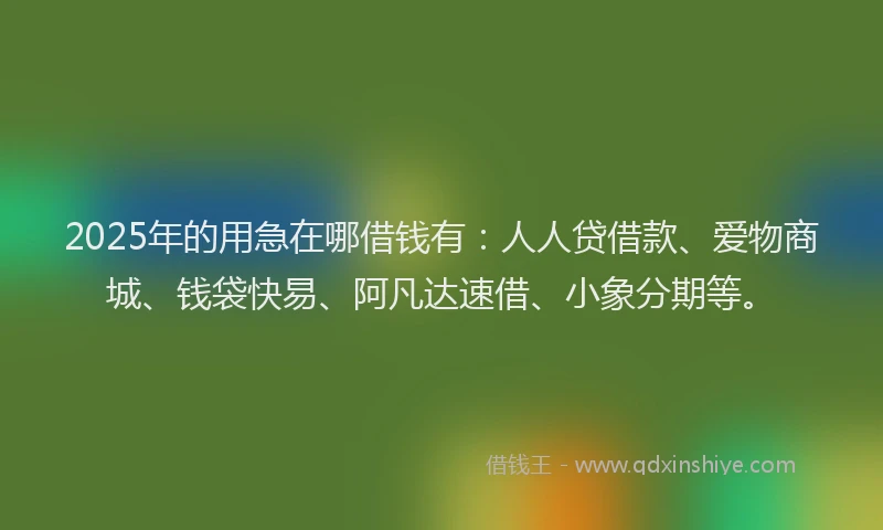 2025年的用急在哪借钱有：人人贷借款、爱物商城、钱袋快易、阿凡达速借、小象分期等。
