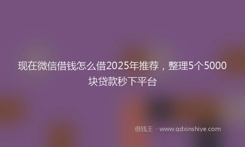 现在微信借钱怎么借2025年推荐，整理5个5000块贷款秒下平台