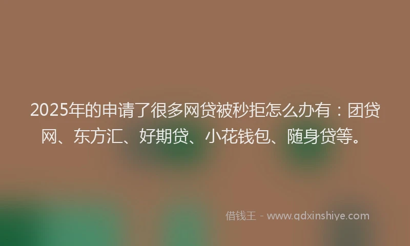 2025年的申请了很多网贷被秒拒怎么办有：团贷网、东方汇、好期贷、小花钱包、随身贷等。