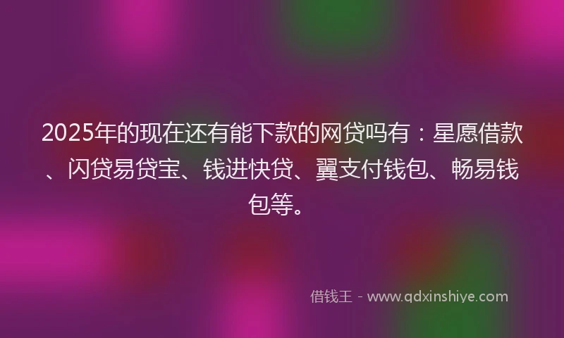 2025年的现在还有能下款的网贷吗有：星愿借款、闪贷易贷宝、钱进快贷、翼支付钱包、畅易钱包等。
