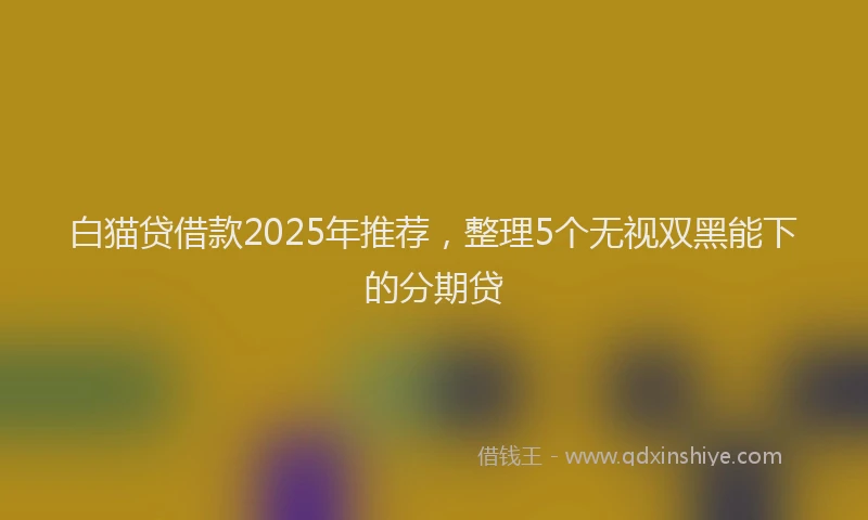 白猫贷借款2025年推荐，整理5个无视双黑能下的分期贷