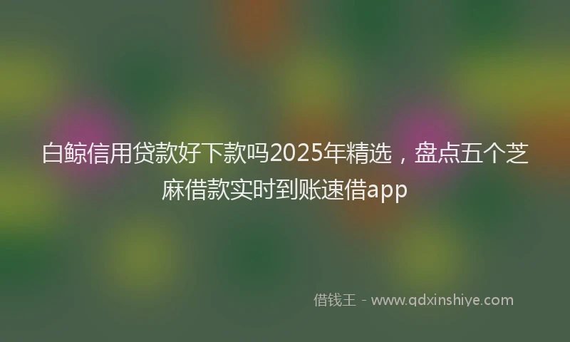 白鲸信用贷款好下款吗2025年精选，盘点五个芝麻借款实时到账速借app