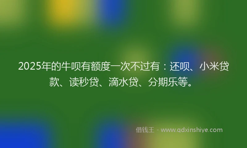 2025年的牛呗有额度一次不过有：还呗、小米贷款、读秒贷、滴水贷、分期乐等。