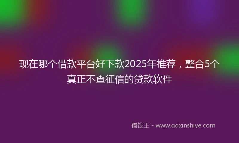 现在哪个借款平台好下款2025年推荐，整合5个真正不查征信的贷款软件