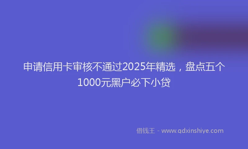 申请信用卡审核不通过2025年精选，盘点五个1000元黑户必下小贷