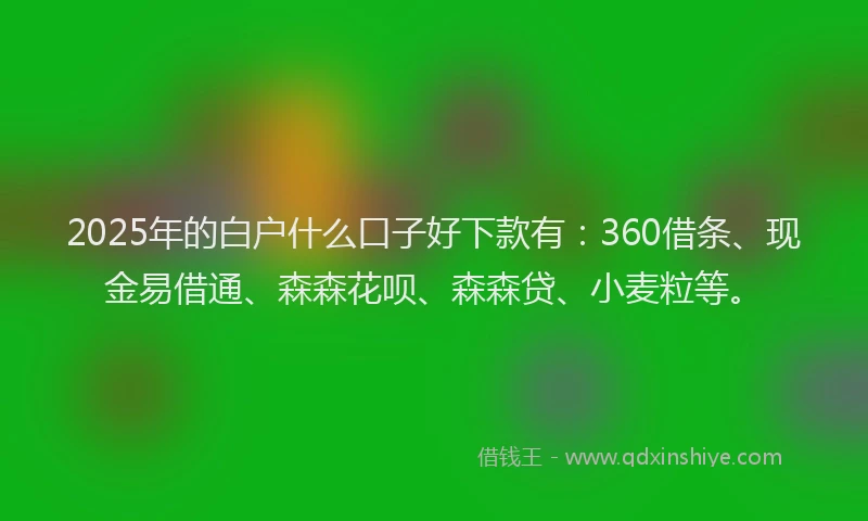 2025年的白户什么口子好下款有：360借条、现金易借通、森森花呗、森森贷、小麦粒等。