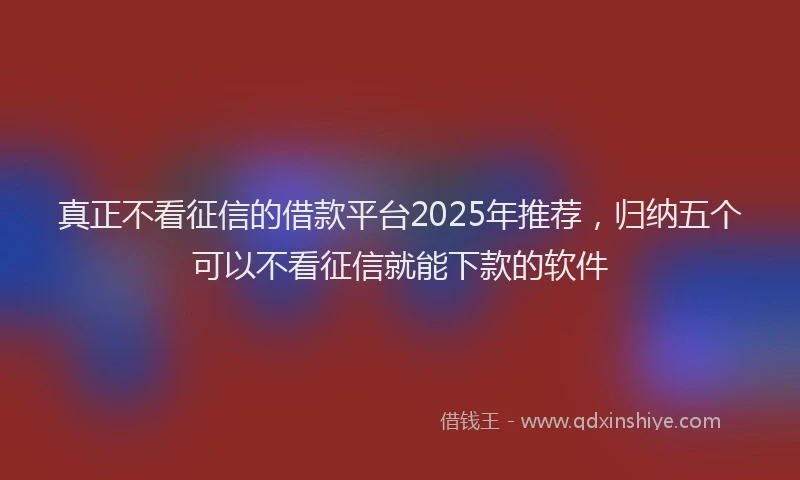 真正不看征信的借款平台2025年推荐，归纳五个可以不看征信就能下款的软件
