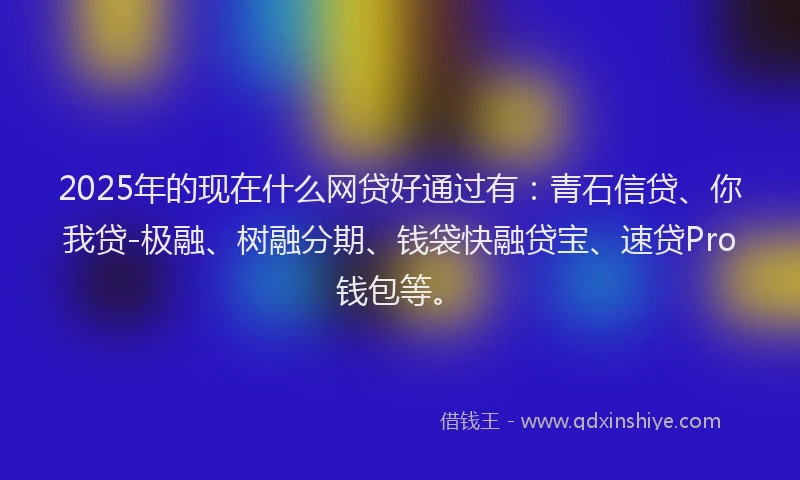 2025年的现在什么网贷好通过有：青石信贷、你我贷-极融、树融分期、钱袋快融贷宝、速贷Pro钱包等。