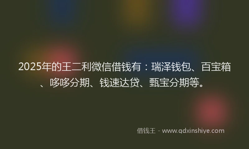 2025年的王二利微信借钱有：瑞泽钱包、百宝箱、哆哆分期、钱速达贷、甄宝分期等。