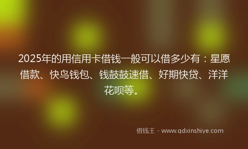 2025年的用信用卡借钱一般可以借多少有：星愿借款、快鸟钱包、钱鼓鼓速借、好期快贷、洋洋花呗等。