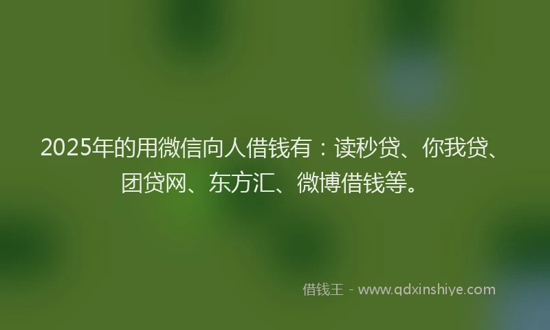 2025年的用微信向人借钱有：读秒贷、你我贷、团贷网、东方汇、微博借钱等。