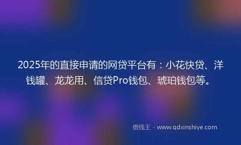 2025年的直接申请的网贷平台有：小花快贷、洋钱罐、龙龙用、信贷Pro钱包、琥珀钱包等。