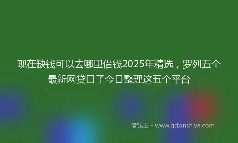 现在缺钱可以去哪里借钱2025年精选，罗列五个最新网贷口子今日整理这五个平台