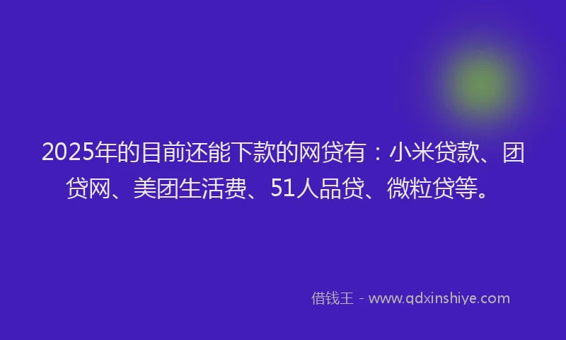 2025年的目前还能下款的网贷有：小米贷款、团贷网、美团生活费、51人品贷、微粒贷等。