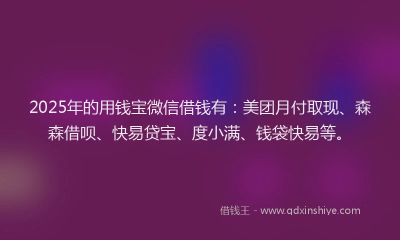 2025年的用钱宝微信借钱有：美团月付取现、森森借呗、快易贷宝、度小满、钱袋快易等。