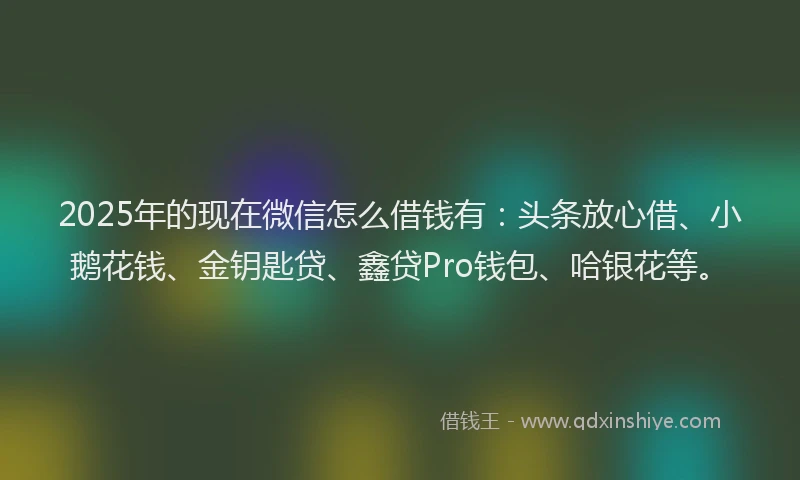 2025年的现在微信怎么借钱有：头条放心借、小鹅花钱、金钥匙贷、鑫贷Pro钱包、哈银花等。