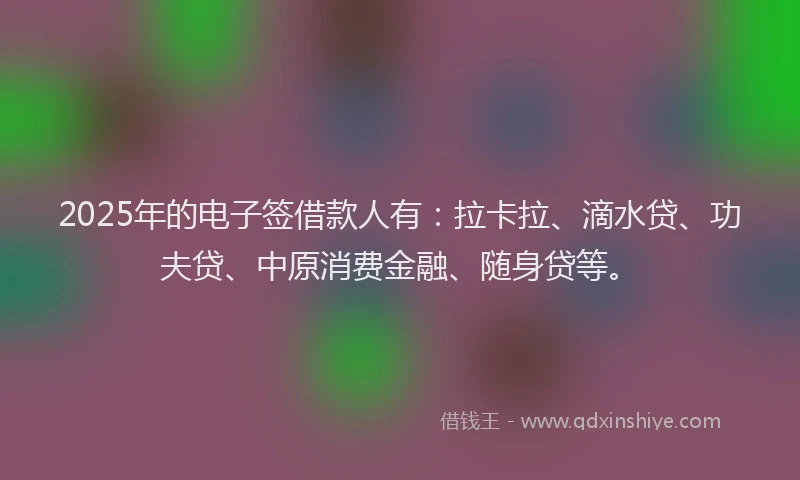 2025年的电子签借款人有：拉卡拉、滴水贷、功夫贷、中原消费金融、随身贷等。