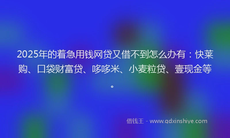 2025年的着急用钱网贷又借不到怎么办有：快莱购、口袋财富贷、哆哆米、小麦粒贷、壹现金等。