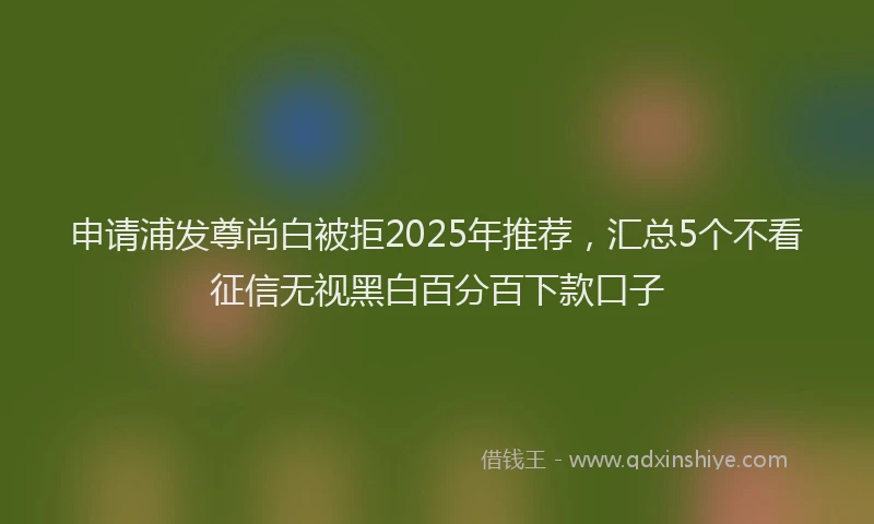 申请浦发尊尚白被拒2025年推荐，汇总5个不看征信无视黑白百分百下款口子