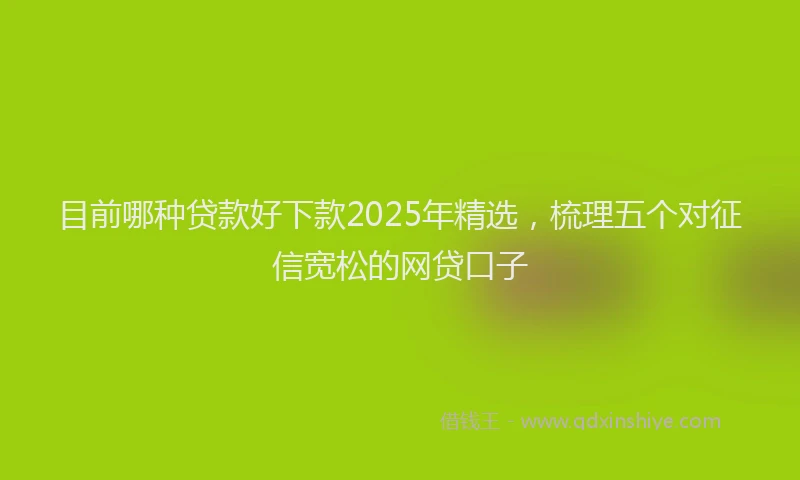 目前哪种贷款好下款2025年精选，梳理五个对征信宽松的网贷口子