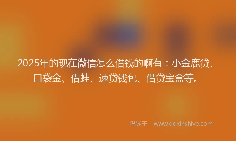 2025年的现在微信怎么借钱的啊有：小金鹿贷、口袋金、借蛙、速贷钱包、借贷宝盒等。