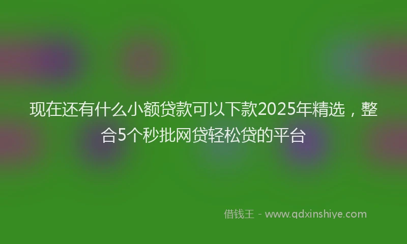 现在还有什么小额贷款可以下款2025年精选，整合5个秒批网贷轻松贷的平台