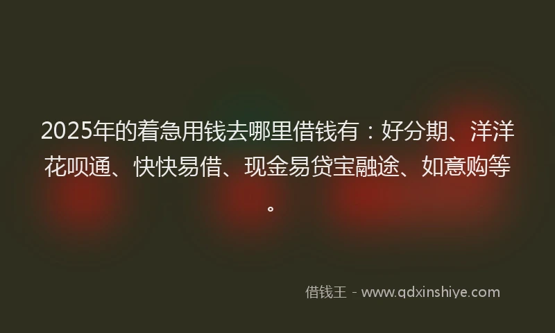 2025年的着急用钱去哪里借钱有：好分期、洋洋花呗通、快快易借、现金易贷宝融途、如意购等。