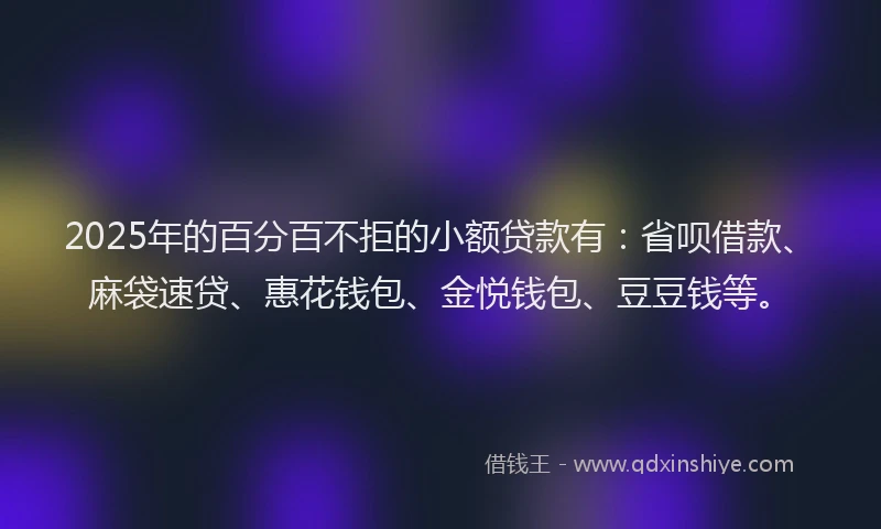 2025年的百分百不拒的小额贷款有：省呗借款、麻袋速贷、惠花钱包、金悦钱包、豆豆钱等。