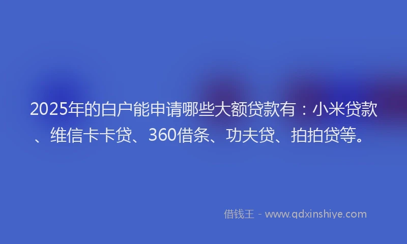 2025年的白户能申请哪些大额贷款有：小米贷款、维信卡卡贷、360借条、功夫贷、拍拍贷等。