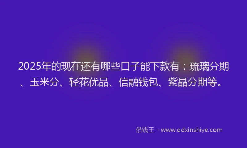 2025年的现在还有哪些口子能下款有：琉璃分期、玉米分、轻花优品、信融钱包、紫晶分期等。
