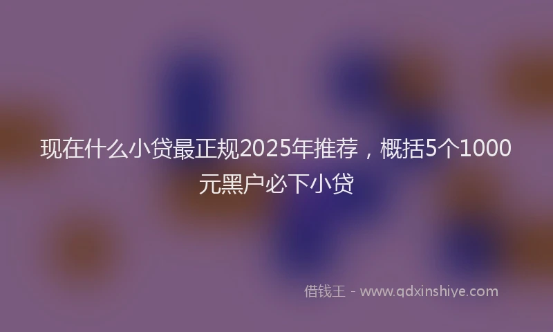 现在什么小贷最正规2025年推荐，概括5个1000元黑户必下小贷