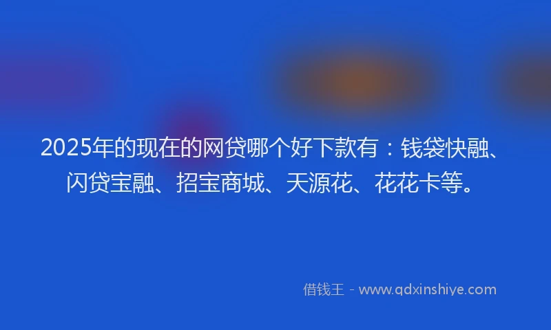 2025年的现在的网贷哪个好下款有：钱袋快融、闪贷宝融、招宝商城、天源花、花花卡等。