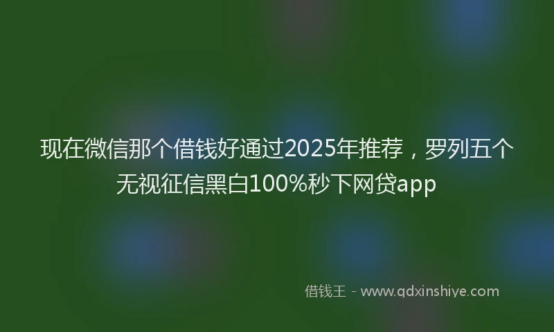 现在微信那个借钱好通过2025年推荐，罗列五个无视征信黑白100%秒下网贷app