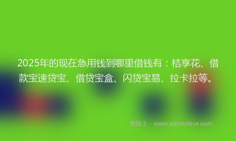 2025年的现在急用钱到哪里借钱有：桔享花、借款宝速贷宝、借贷宝盒、闪贷宝易、拉卡拉等。