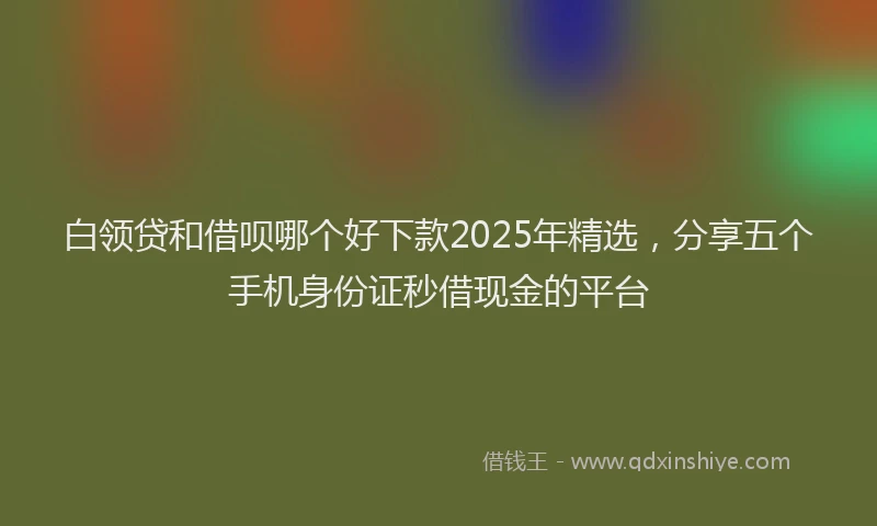 白领贷和借呗哪个好下款2025年精选，分享五个手机身份证秒借现金的平台