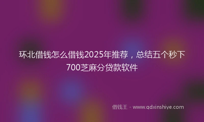 环北借钱怎么借钱2025年推荐，总结五个秒下700芝麻分贷款软件