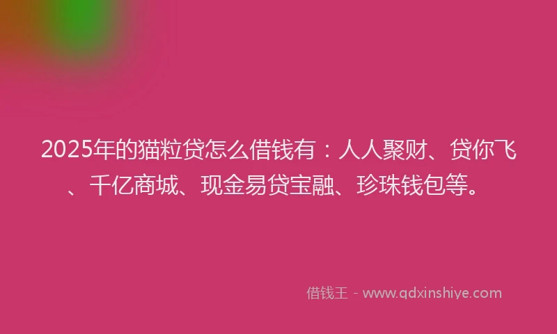 2025年的猫粒贷怎么借钱有：人人聚财、贷你飞、千亿商城、现金易贷宝融、珍珠钱包等。