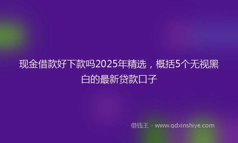 现金借款好下款吗2025年精选，概括5个无视黑白的最新贷款口子