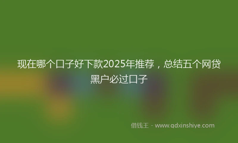 现在哪个口子好下款2025年推荐，总结五个网贷黑户必过口子
