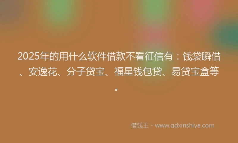 2025年的用什么软件借款不看征信有：钱袋瞬借、安逸花、分子贷宝、福星钱包贷、易贷宝盒等。