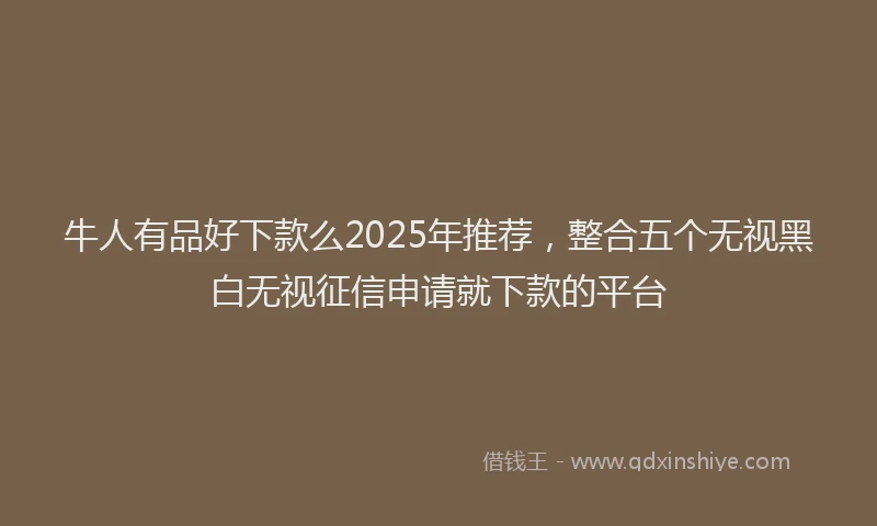 牛人有品好下款么2025年推荐，整合五个无视黑白无视征信申请就下款的平台